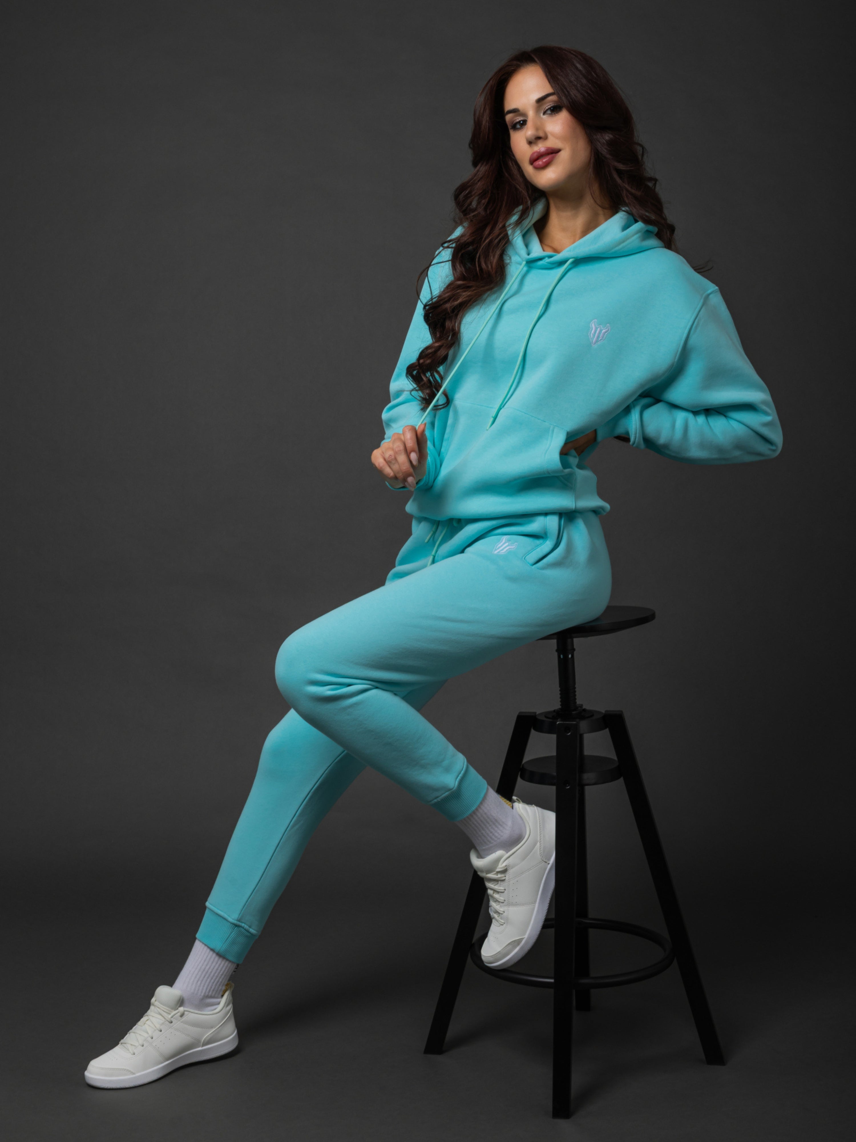 HELL FIGHT Basic Hoodie Light Blue - OnSize